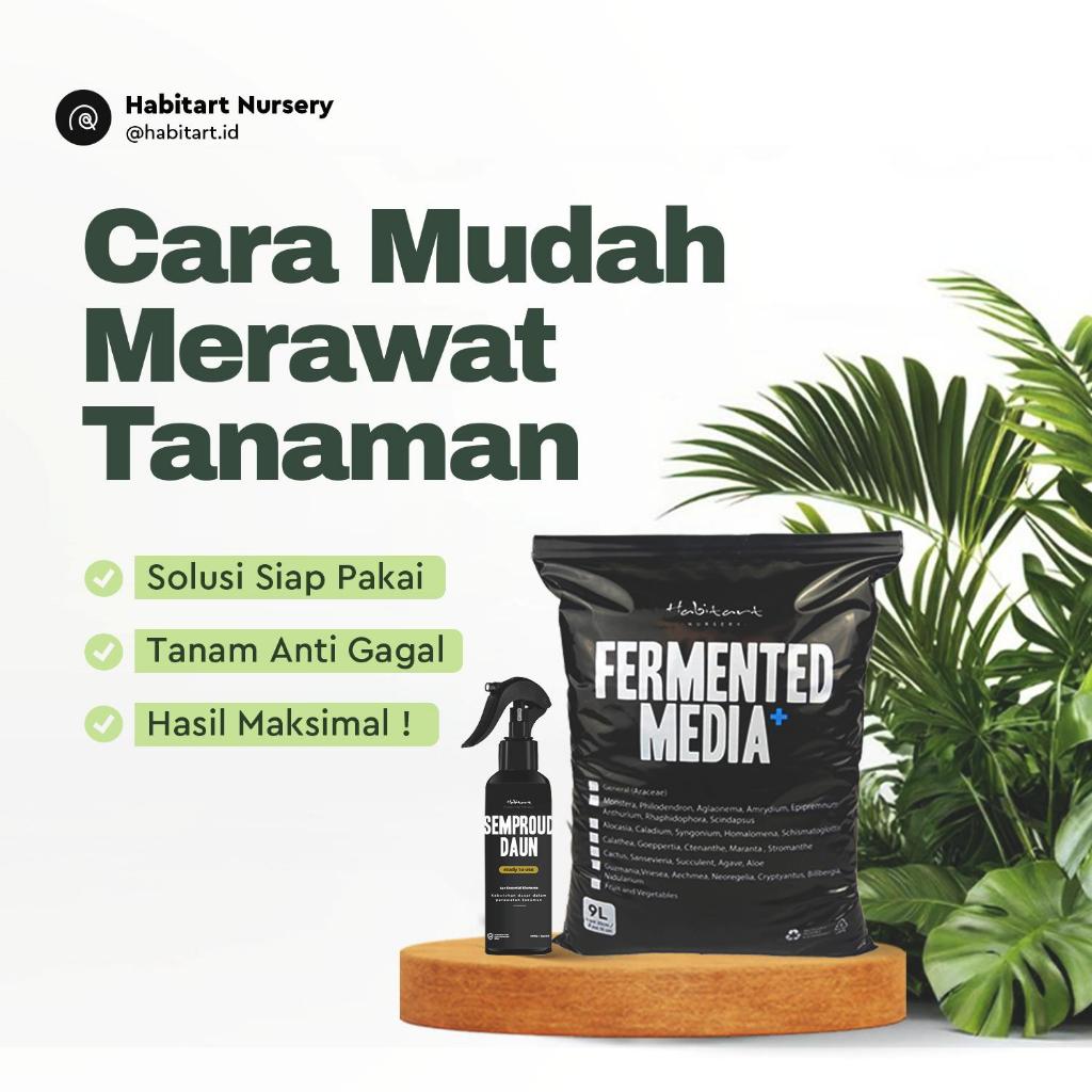 Habitart Fermented Media Plus 3 Liter - Media Tanam Fermentasi Aroid Siap Pakai | Metan Steril Porou