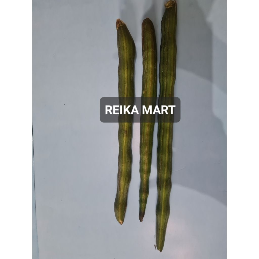 

Kelor / Klentang TUA SEGAR UNTUK OBAT 500 gr