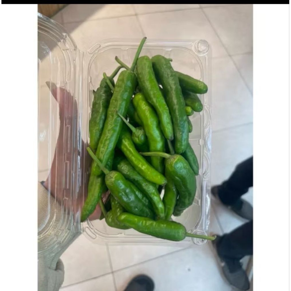 

Cabe Shisito Lokal/ Spring Farm / pack