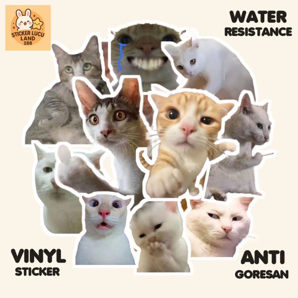 

stiker kucing meme / sticker kucing sticker / kucing meme / stiker kucing lucu / stiker /kucing motor / stiker kucing hitam / sticker kucing lucu / stiker kucing 3d / stiker kucing waterproof / stiker kucing laptop / stiker kucing aesthetic