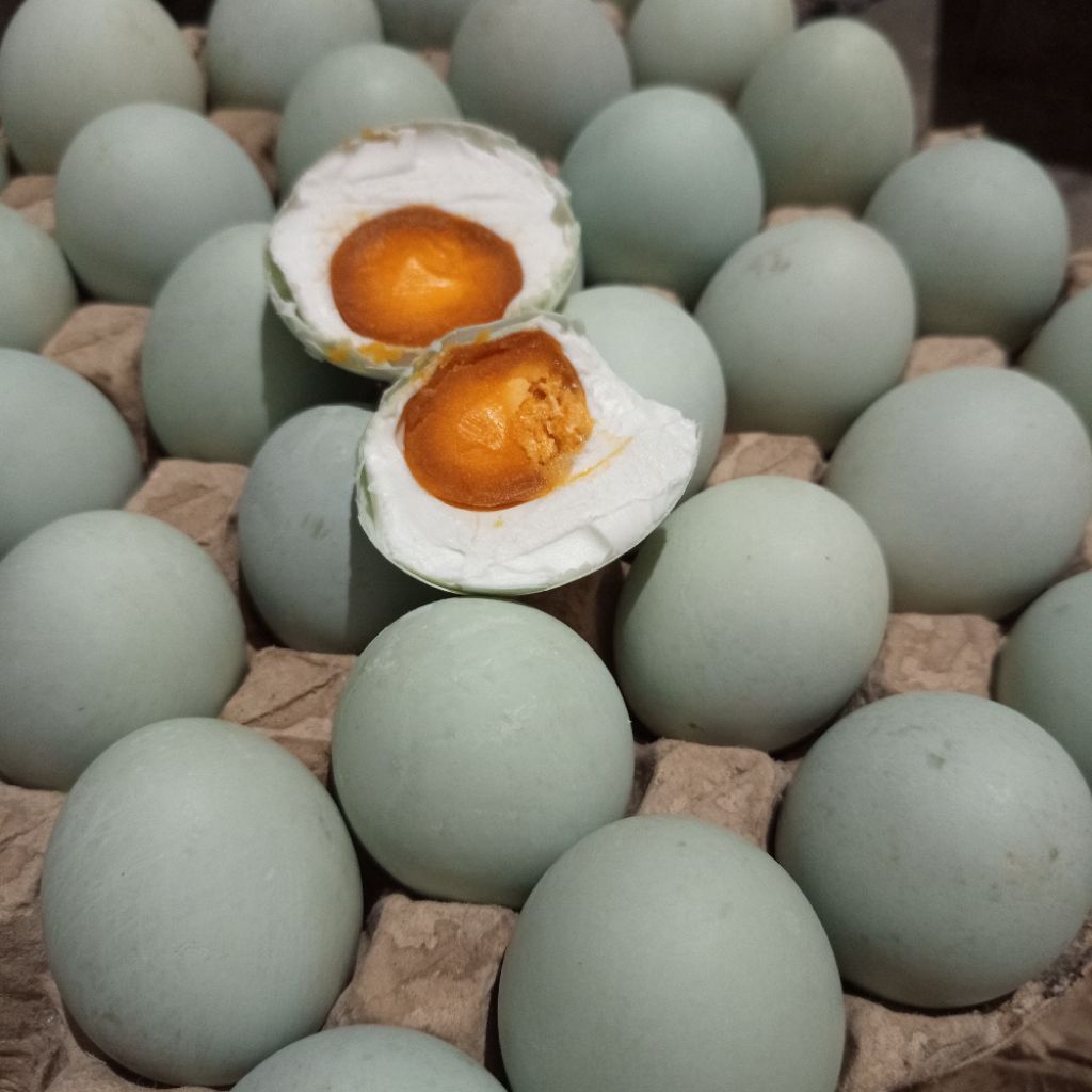 

Telur asin Masir Besar