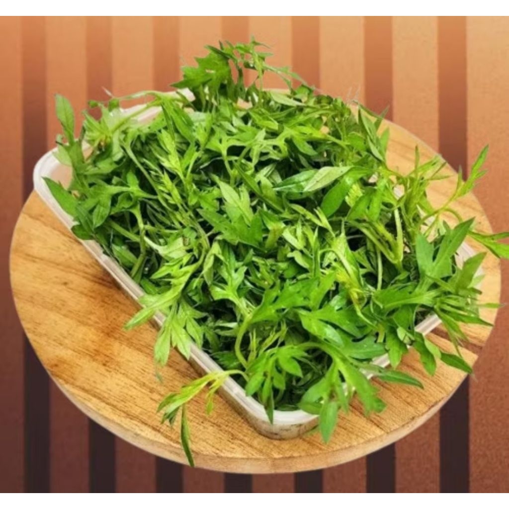 

Daun kenikir potong..