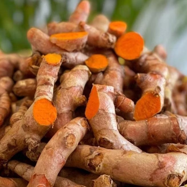 

kunyit sayur kunir bumbu masakan almi 1 kg