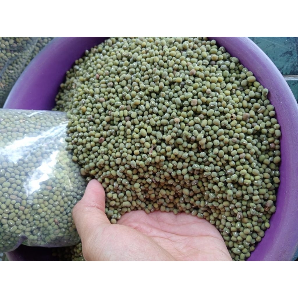 

1KG KACANG HIJAU MURNI UNTUK BUBUR / BENIH KACANG HIJAU