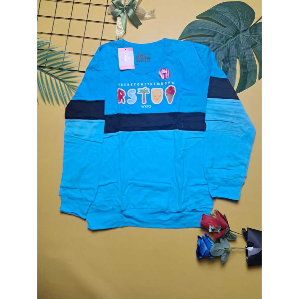 Laisha Apparel - Swaeter Lengan Panjang Anak Perempuan | Kaos Panjang Anak laki | Sablon Plastisol