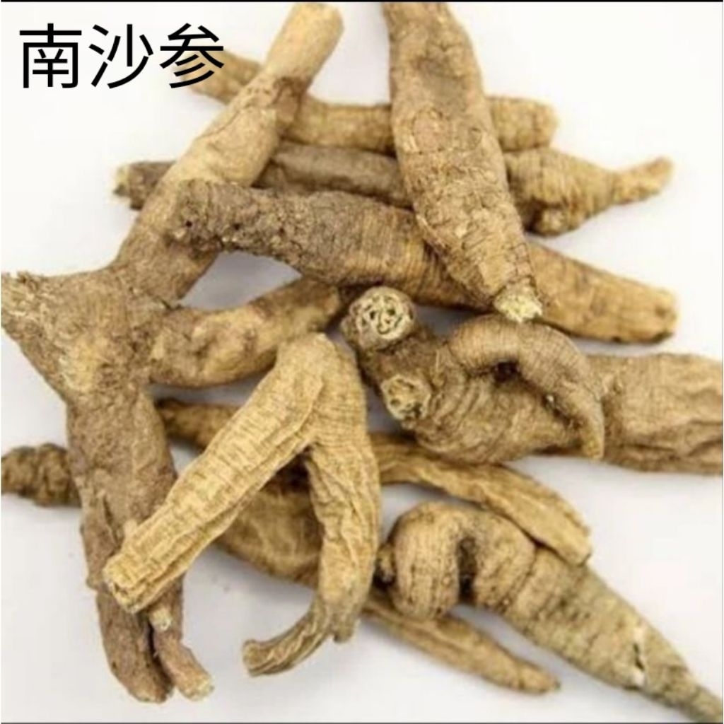 

100gr Nan Sha Shen Adenophora Tetraphylla