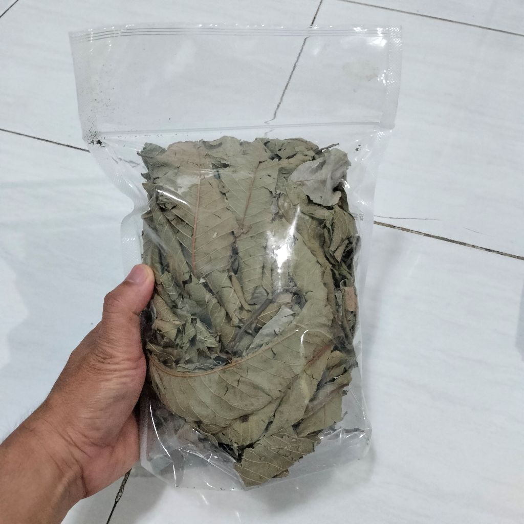 

PROMO 100Gram Daun Jambu Biji Kering Premium