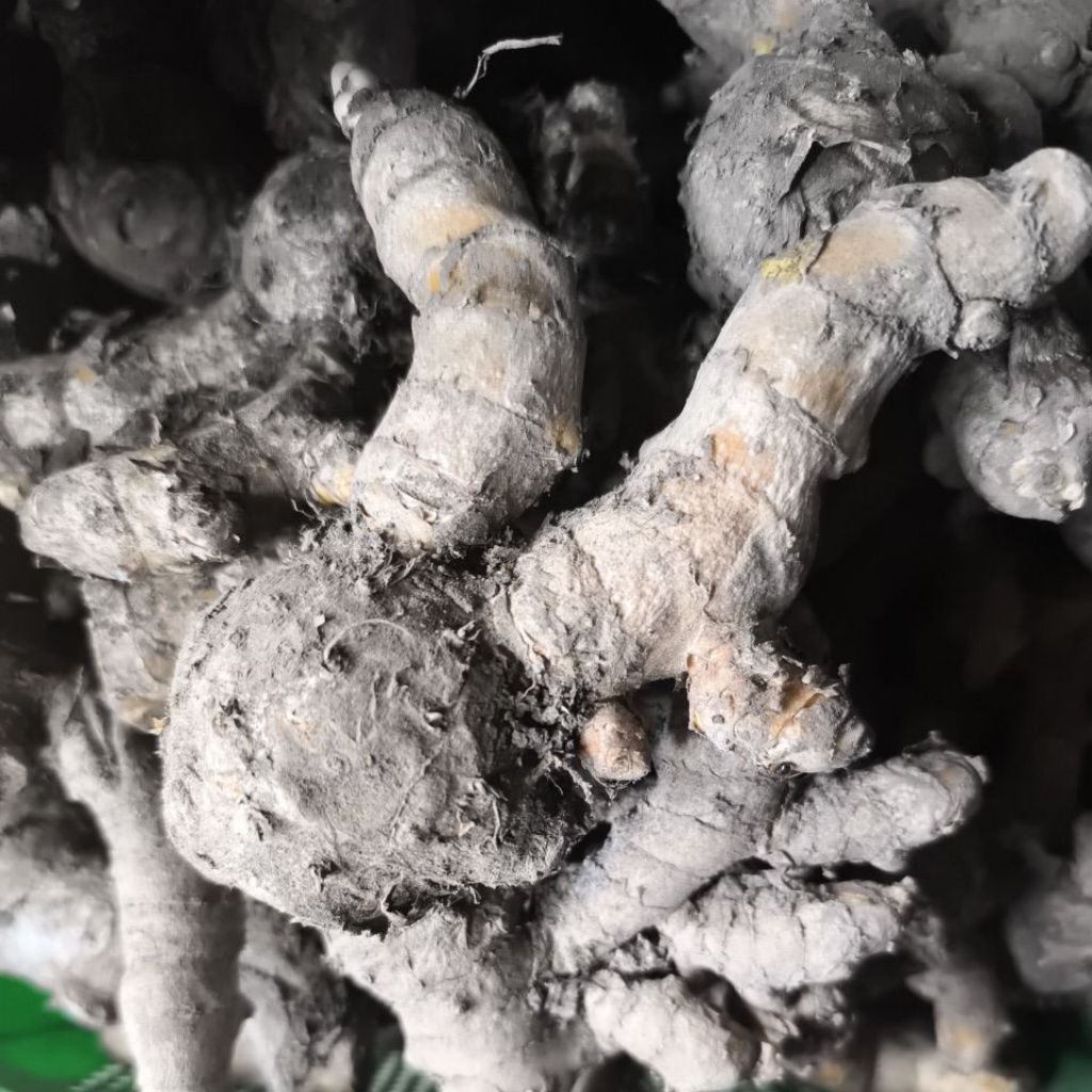 

Temulawak 100% asli 1kg