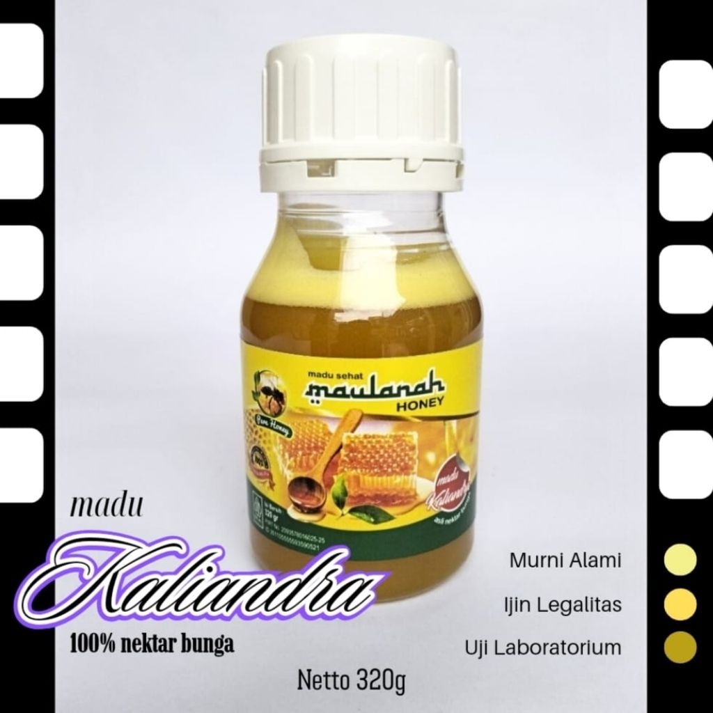 

MADU MURNI / MADU ASLI - MADU KALIANDRA - MAULANAH HONEY 320 GRAM - BOTOL BAHAN PLASTIK