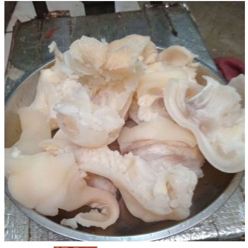 

TUNJANG KAKI SAPI LOKAL 1KG MATANG