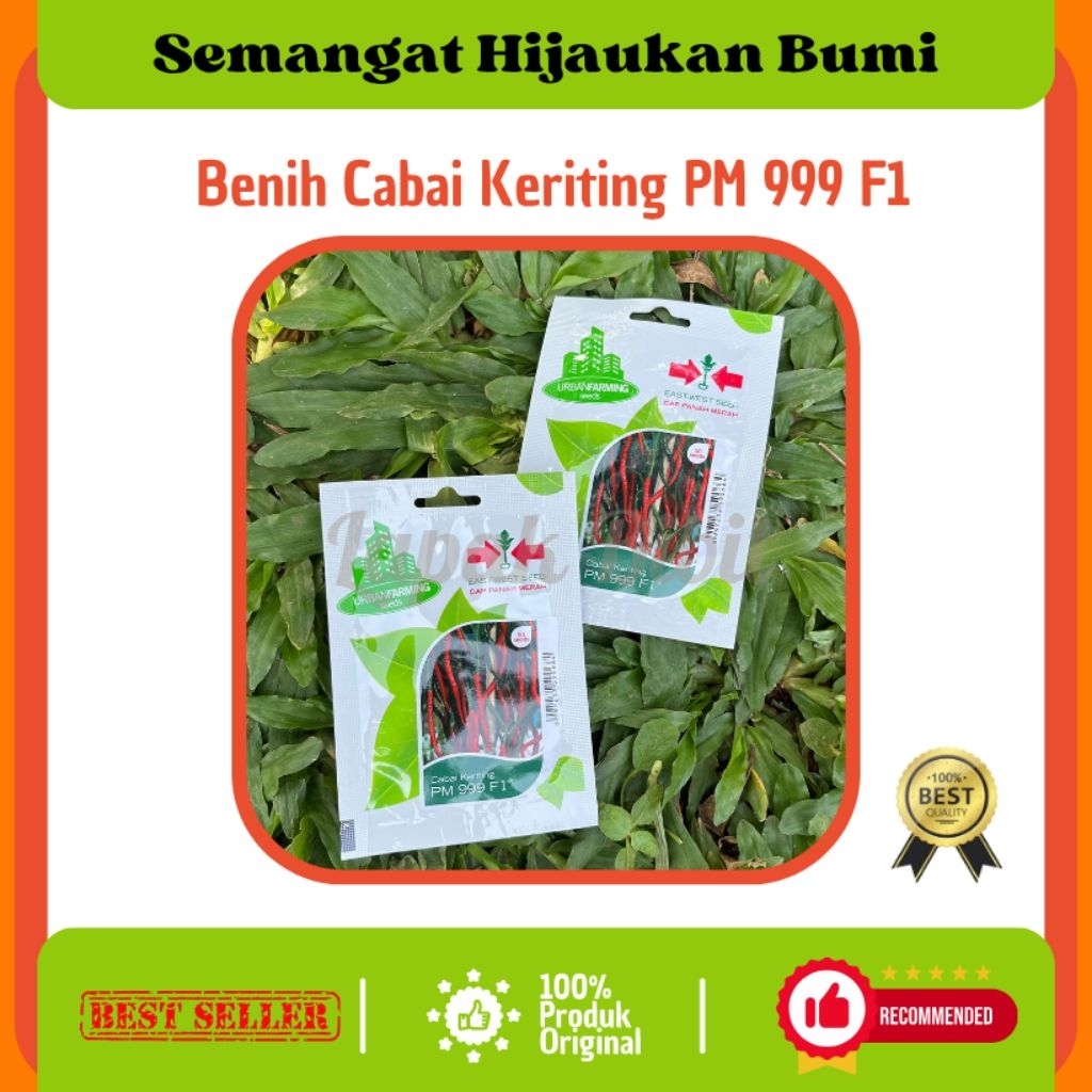 Benih Cabai Keriting PM 999 F1