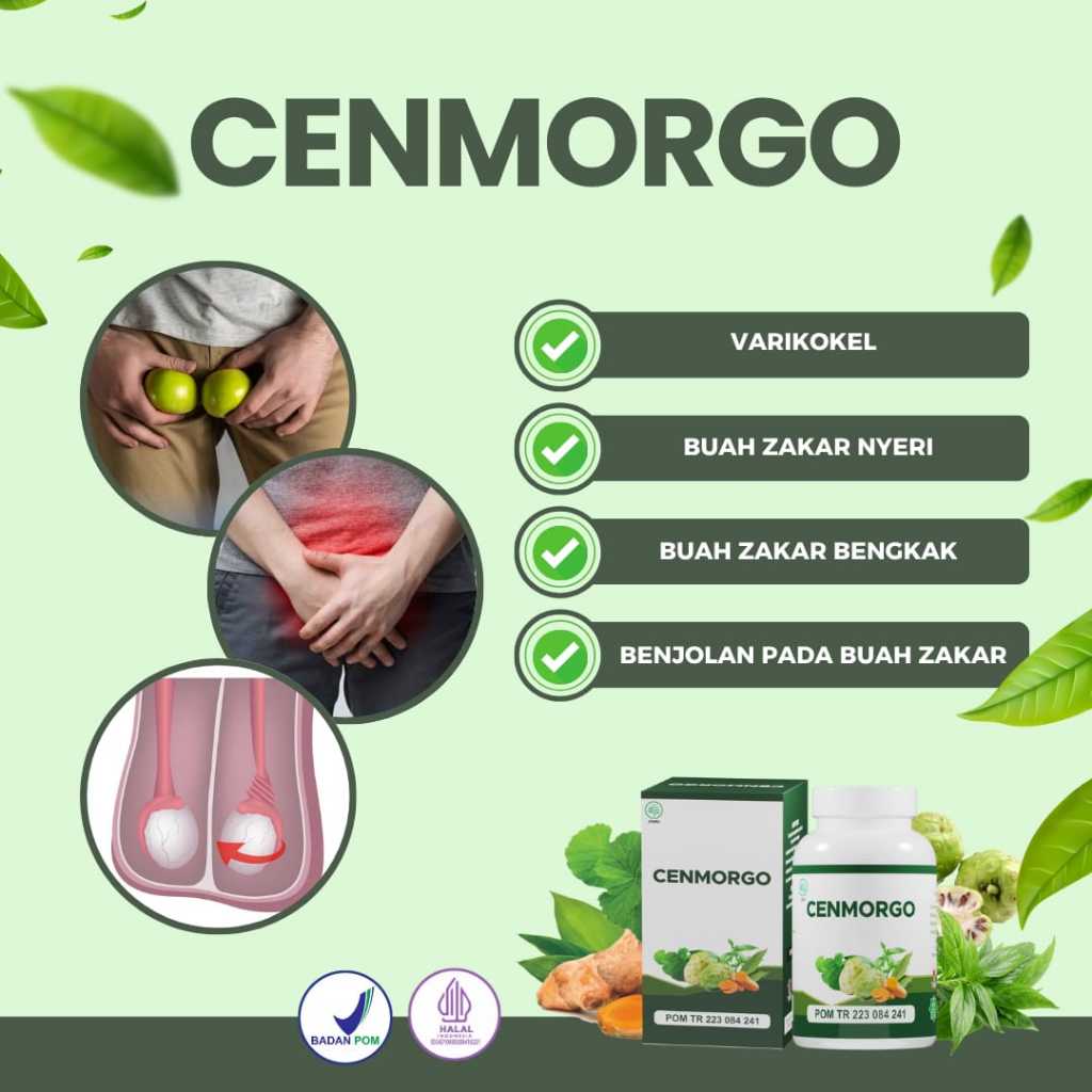 CENMORGO - Varikokel Melancarkan Sirkulasi Darah