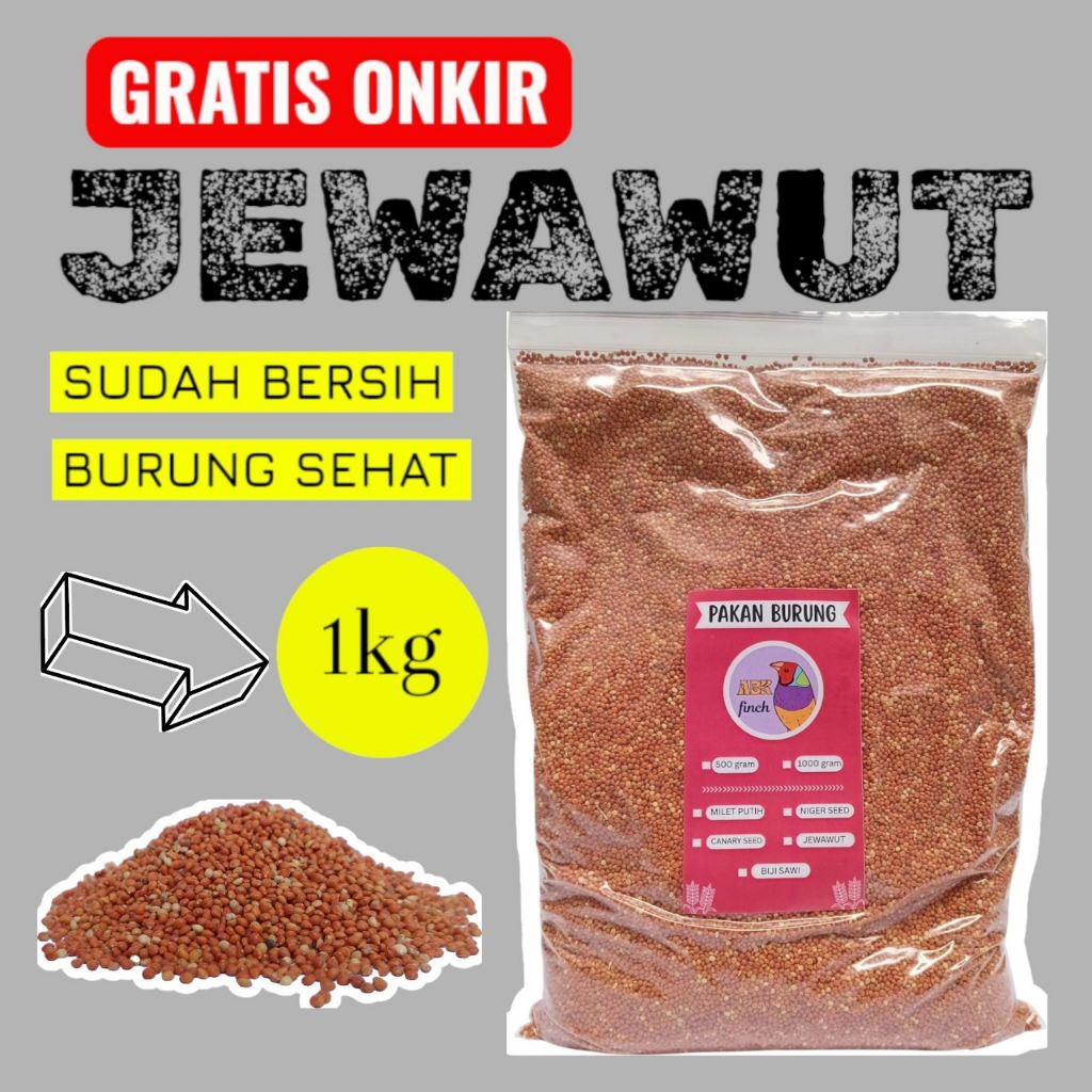 Jewawut 1 kg pakan burung BERKUALITAS