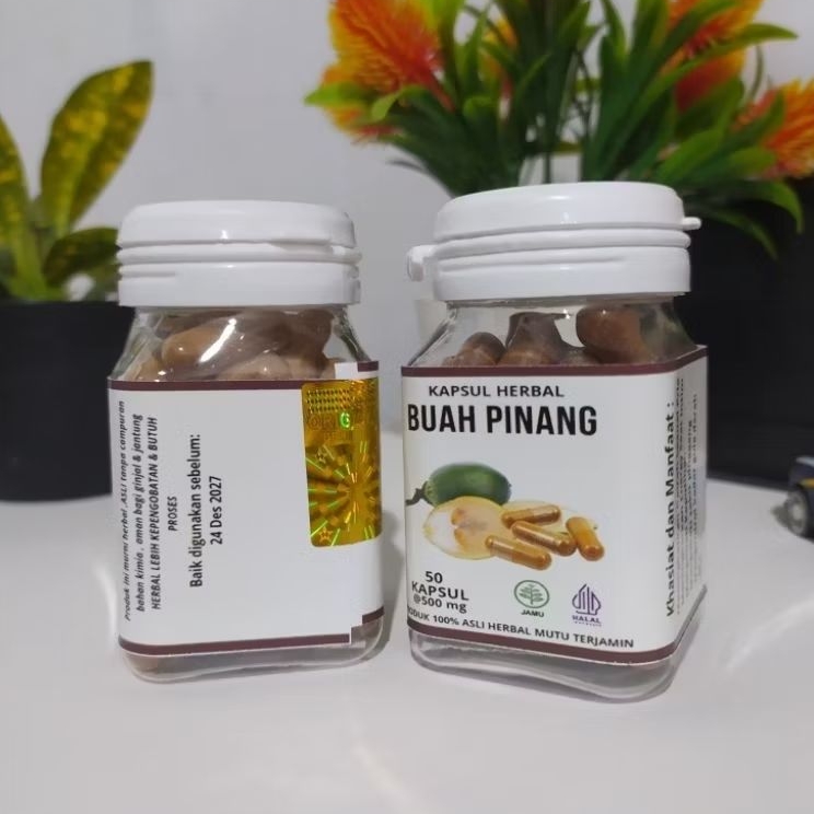 

kapsul buah pinang bubuk asli 100%