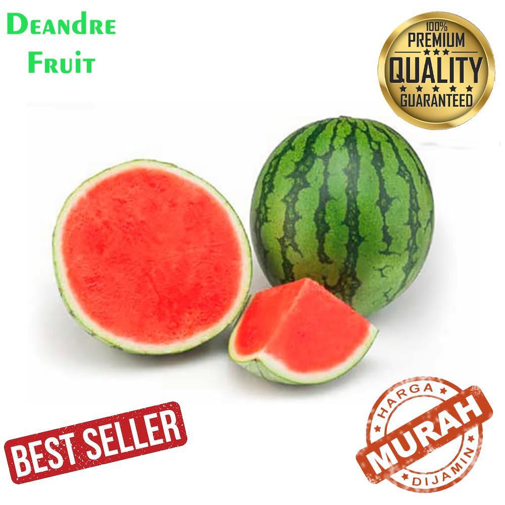 

PROMO MURAH 1pcs Semangka Merah SEEDLESS NO BIJI MANIS Watermelon
