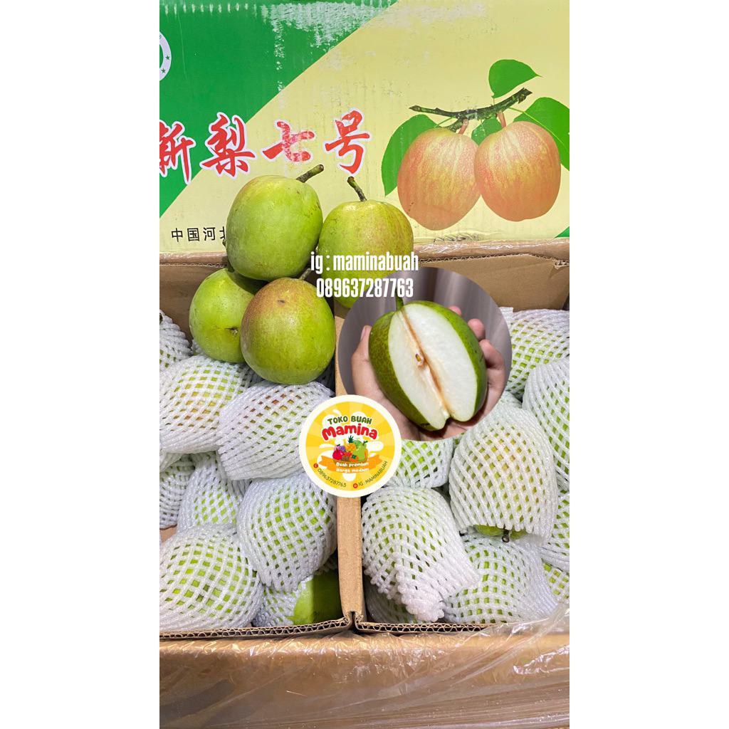 

Pear Xiang Lie