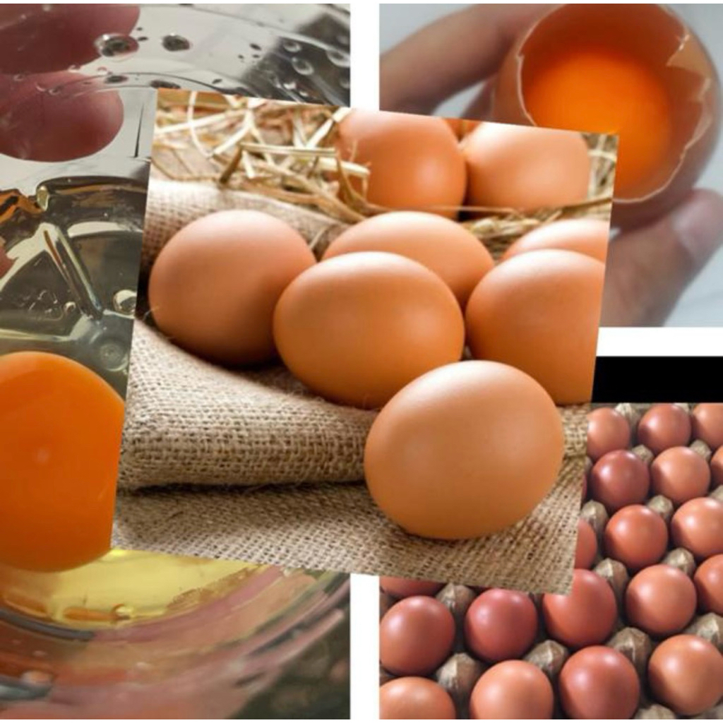 

(KHUSUS INSTANT) Telor Ayam Negeri Omega / Telur Horen Omega Orange