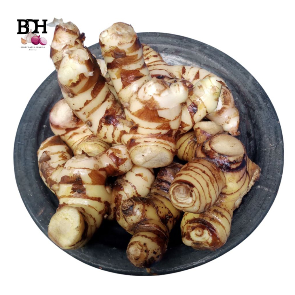

lengkuas putih fresh 1kg