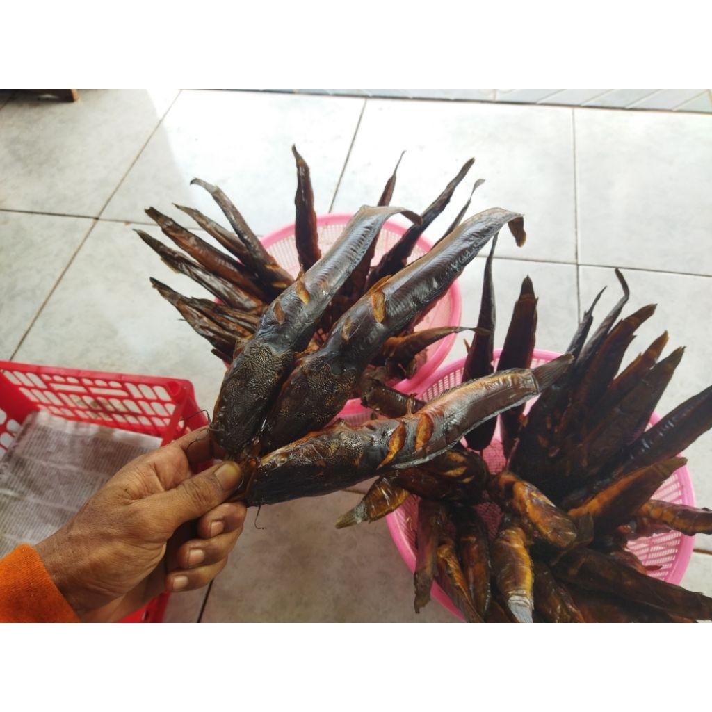 

Lele Asap Lele Panggang isi 10 biji