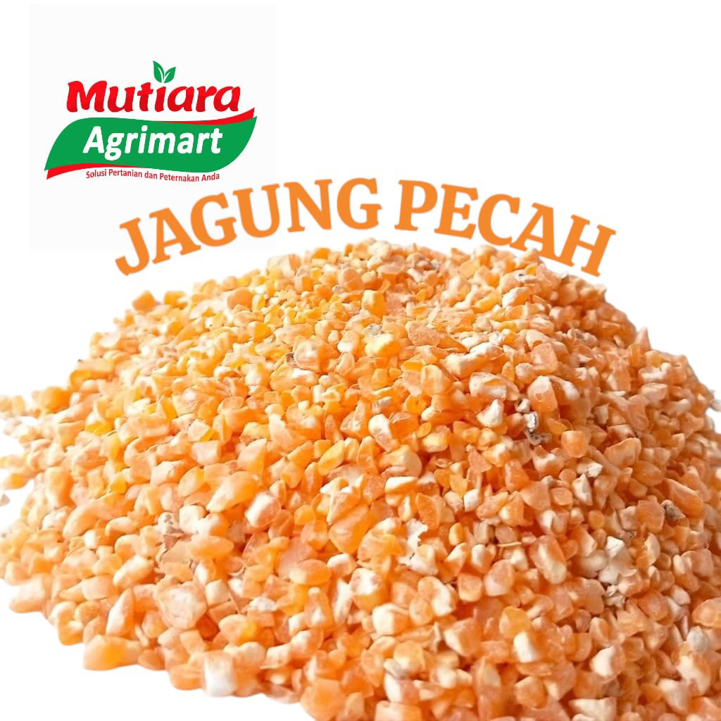 

JAGUNG PECAH KEMASAN 1kg & 500gr