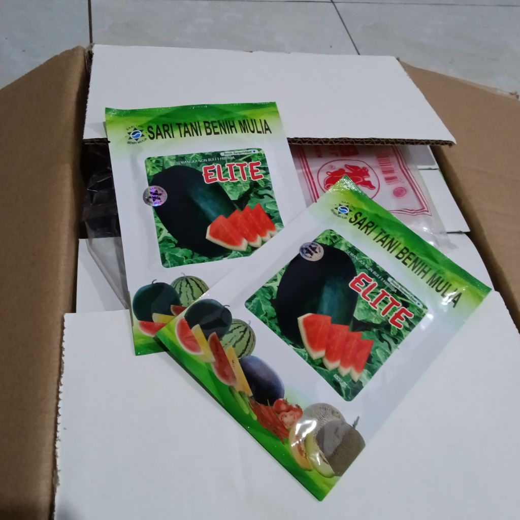 Benih Bibit Semangka Non biji Elite F1 (Tipe Jumbo Bangkok Lonjong Oval, Perawatan Mudah dan Produks
