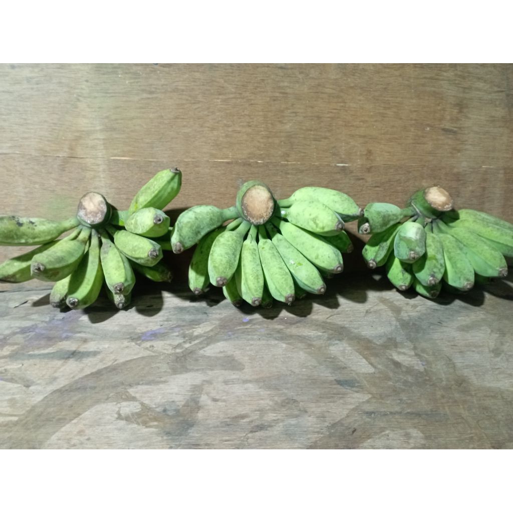 

buah pisang siem super per sikat