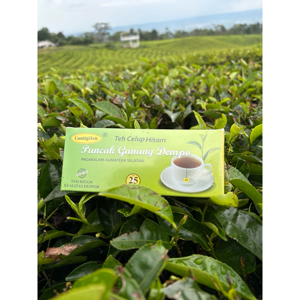

teh ctc celup hitam