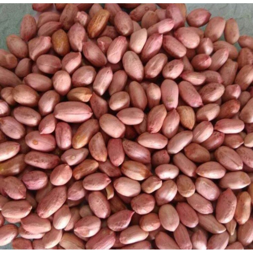 

Kacang tanah kupas Per/250gr