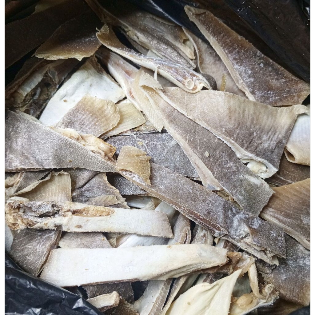 

Ikan Asin Pari Lalay Potong Utuh 250gr/500gr/1kg