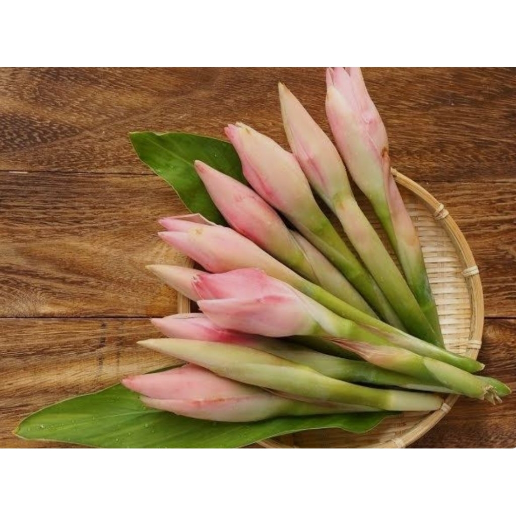 

Kecomrang segar 250gr