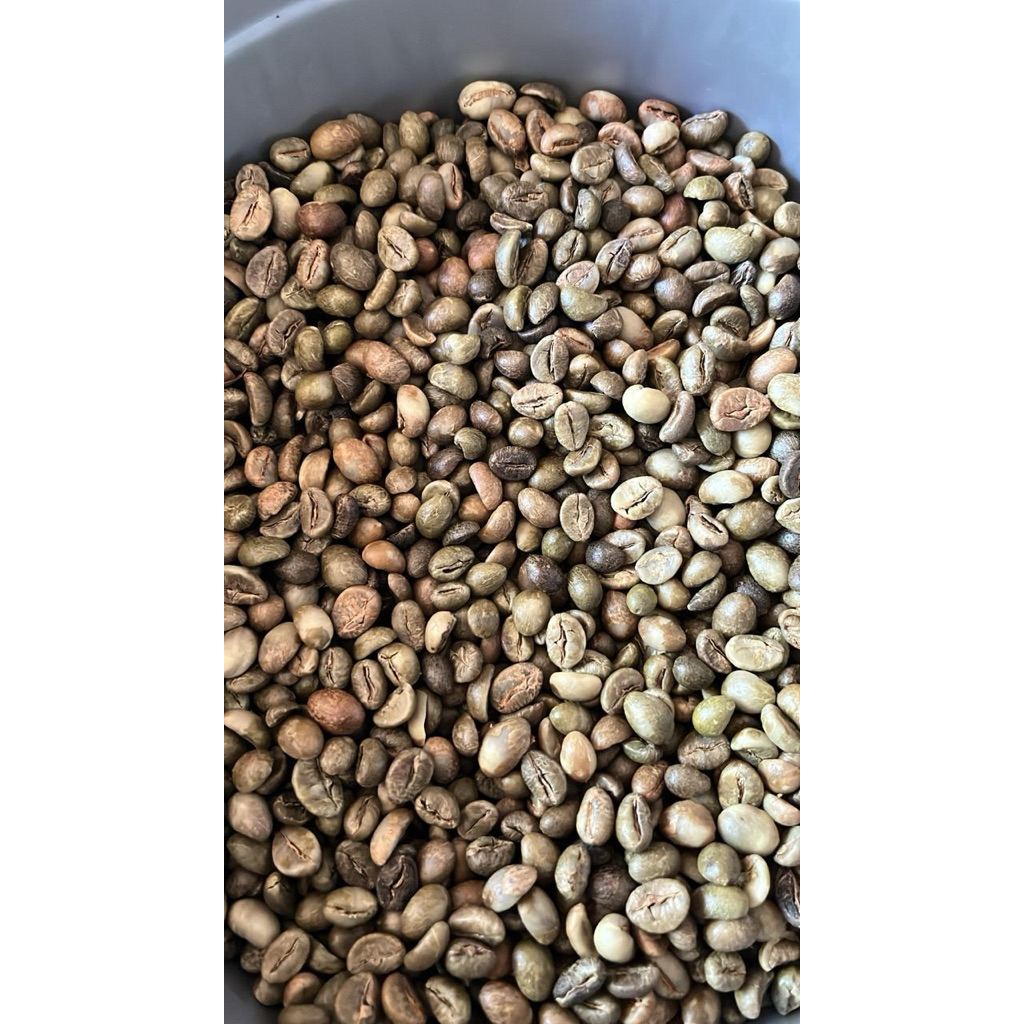 

Biji Kopi Mentah Lombok