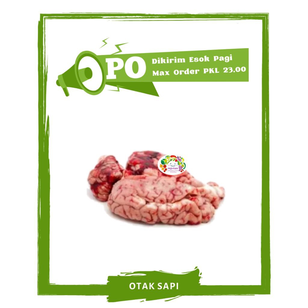 

Otak Sapi / Daging Segar PO Mallahrizwa