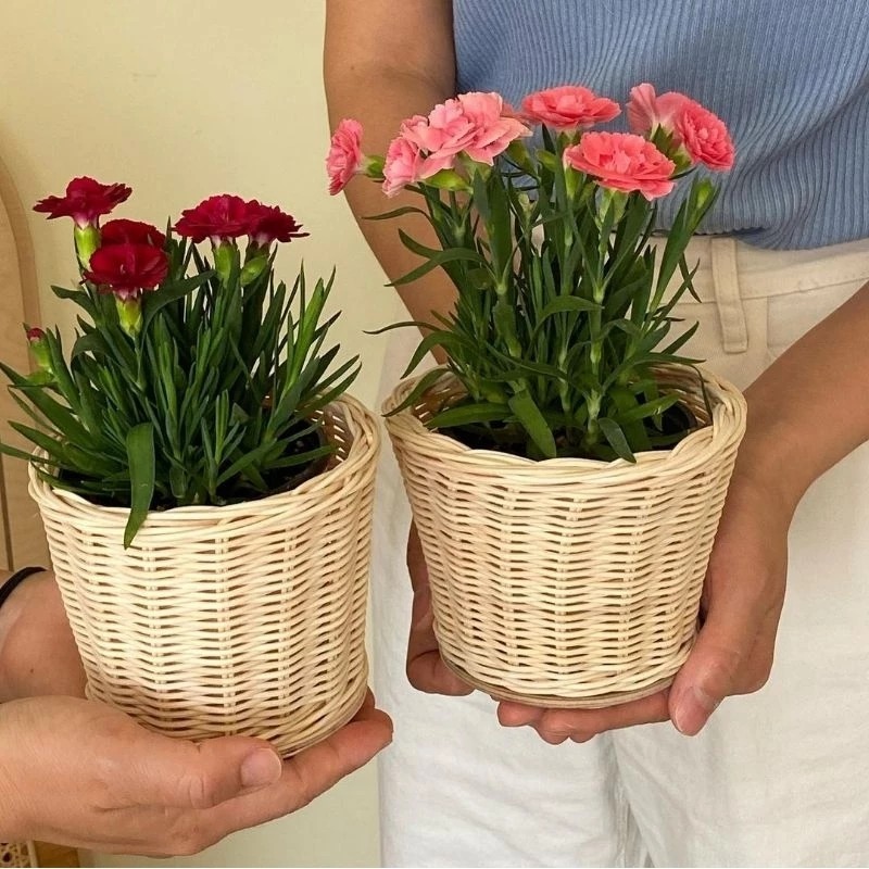 Vas Bunga rotan Aesthetic murah - Kerajinan Anyaman Rotan Alami Dekorasi konten
