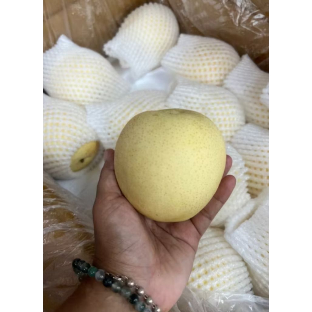 

PEAR PIR BUAH FRESH 500GR [MINIMAL ORDER 1KG]