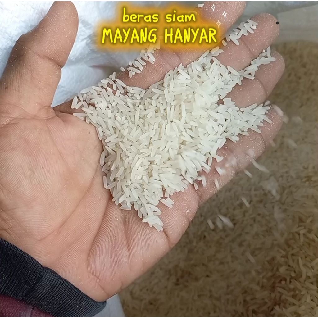

Beras Siam Mayang Hanyar. harga per 1 liter – Wangi Alami, sedikit lembek, Baru Panen!