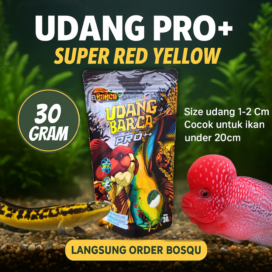 Udang Barca Pro++ Red Yellow Booster EL BARCAFEED