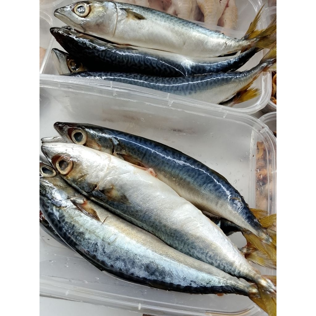 

IKAN UNGKEP KEMBUNG BATIK ISI 6 480GR