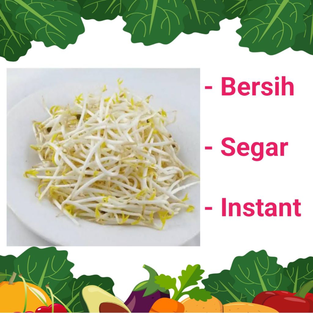 

TOGE / KECAMBAH SEGAR - PALEMBANG