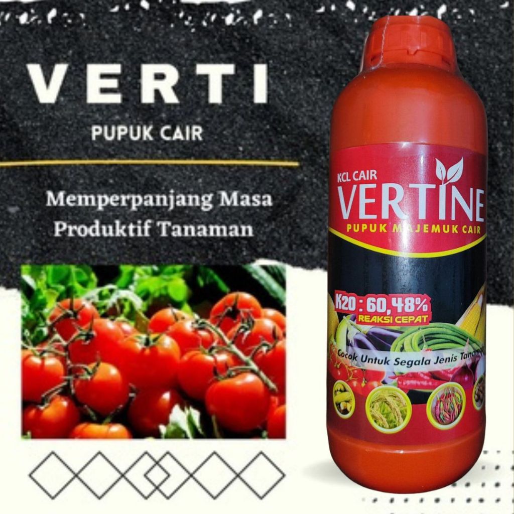 Pupuk Kalium Untuk Tomat, Verti-K Obat Hama Daun Kuning Keriting Cabe Dan Tomat