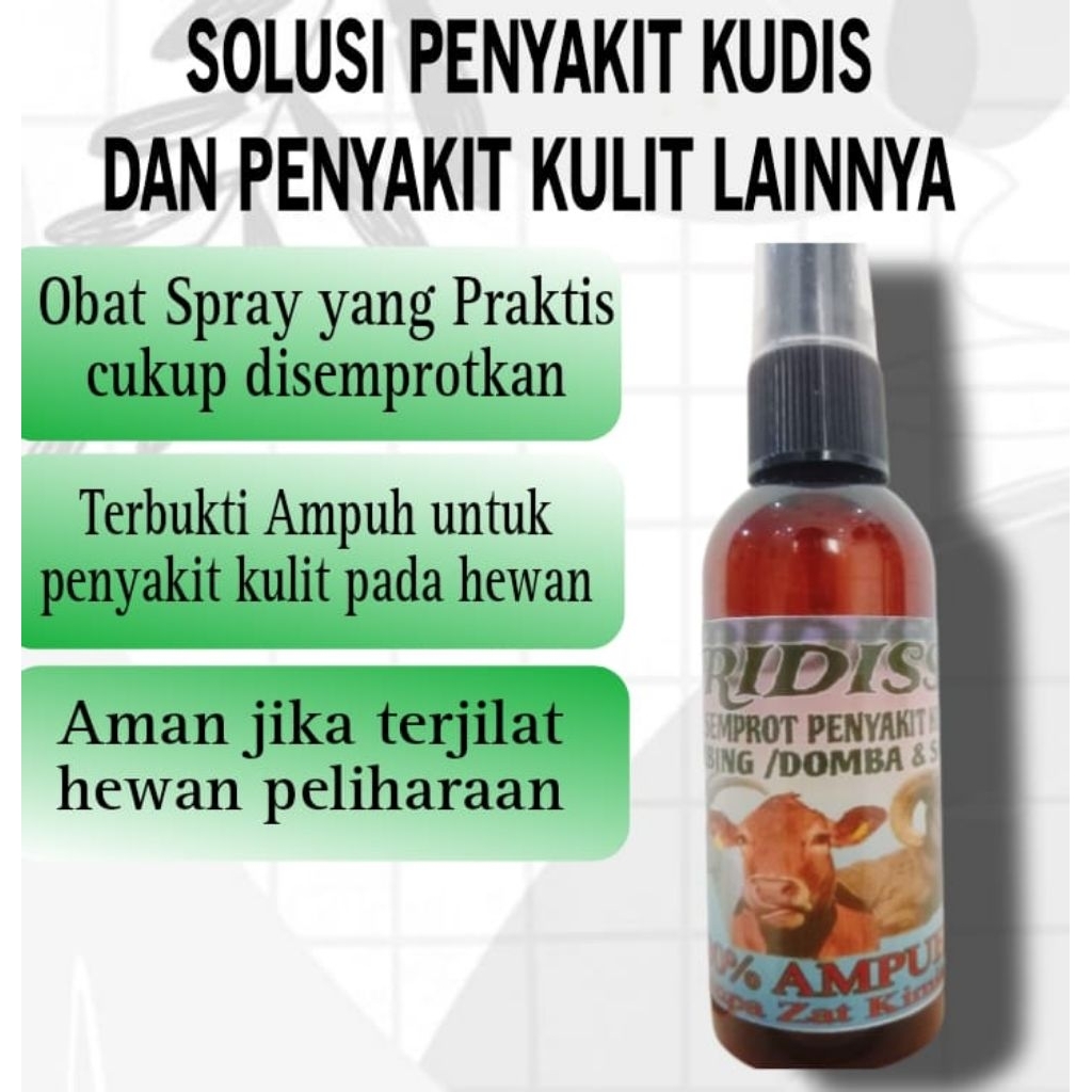 Obat Penyakit kulit hewan kambing domba sapi kuda