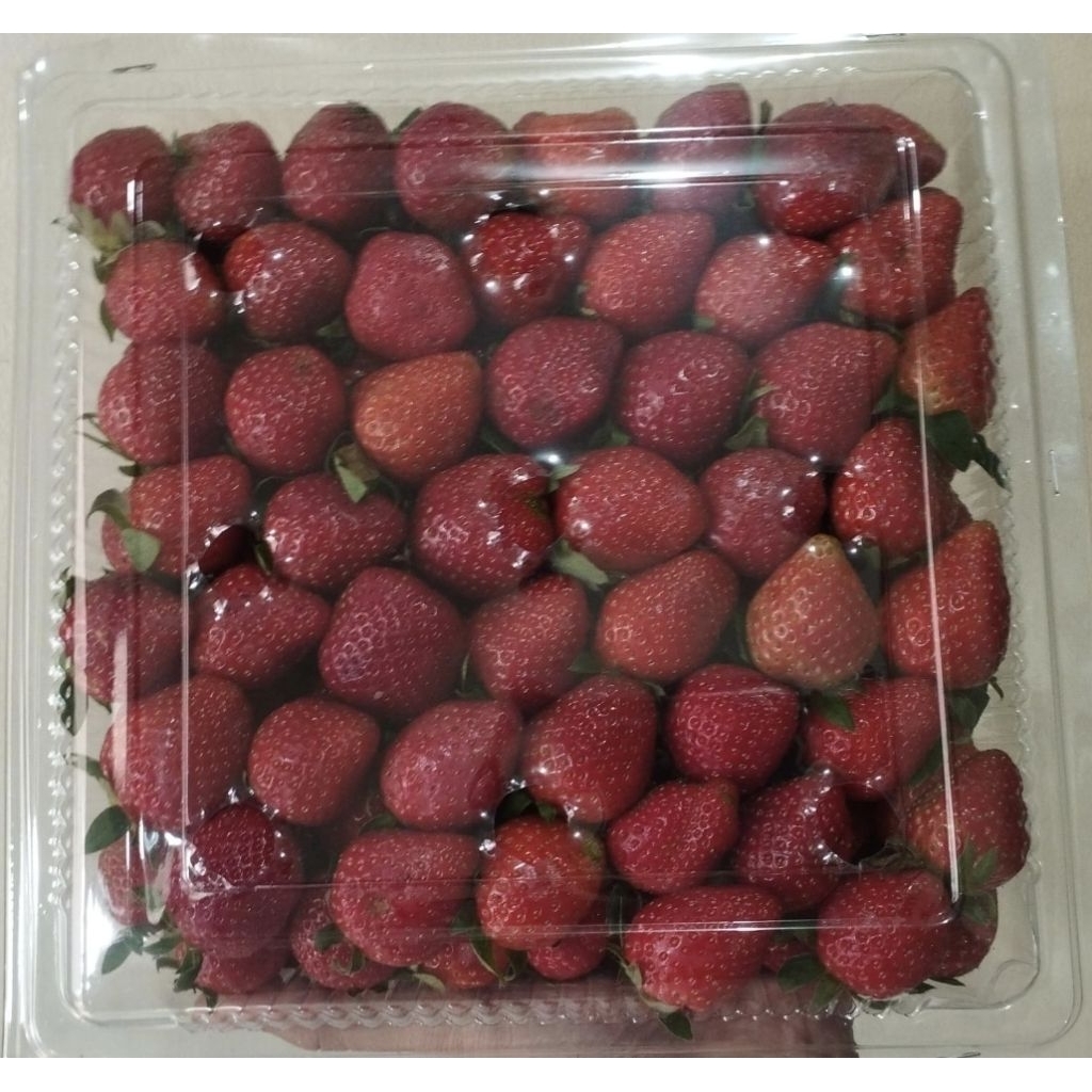 

strawberry fresh bagus real pict ±1kg.