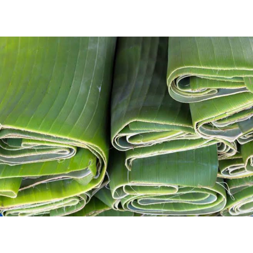 

Daun pisang fresh 1 Roll 4 papan