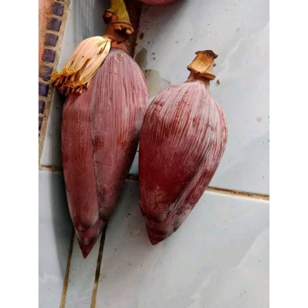 

jantung pohon pisang kepok fresh enak di bikin pepes/di masak per pic