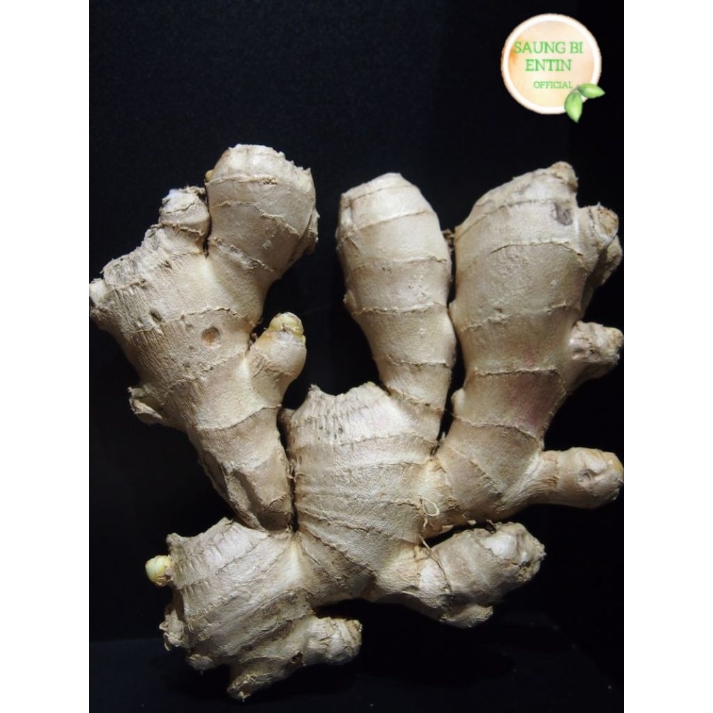 

Jahe Gajah Super Bersih 1Kg