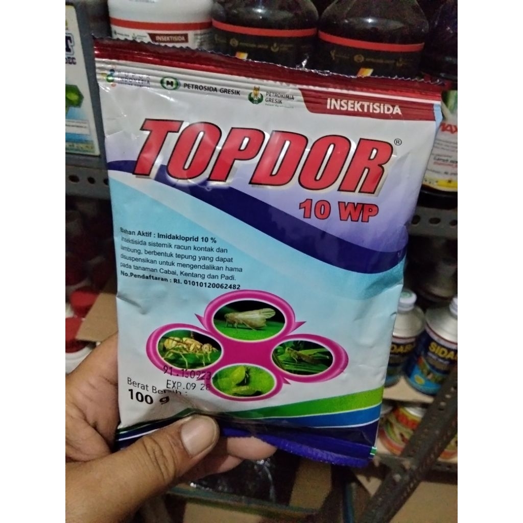TOPDOR 10WP imidakloprid || insektisida racun sistemik pembasmi wereng cokelat kutu daun walang sang