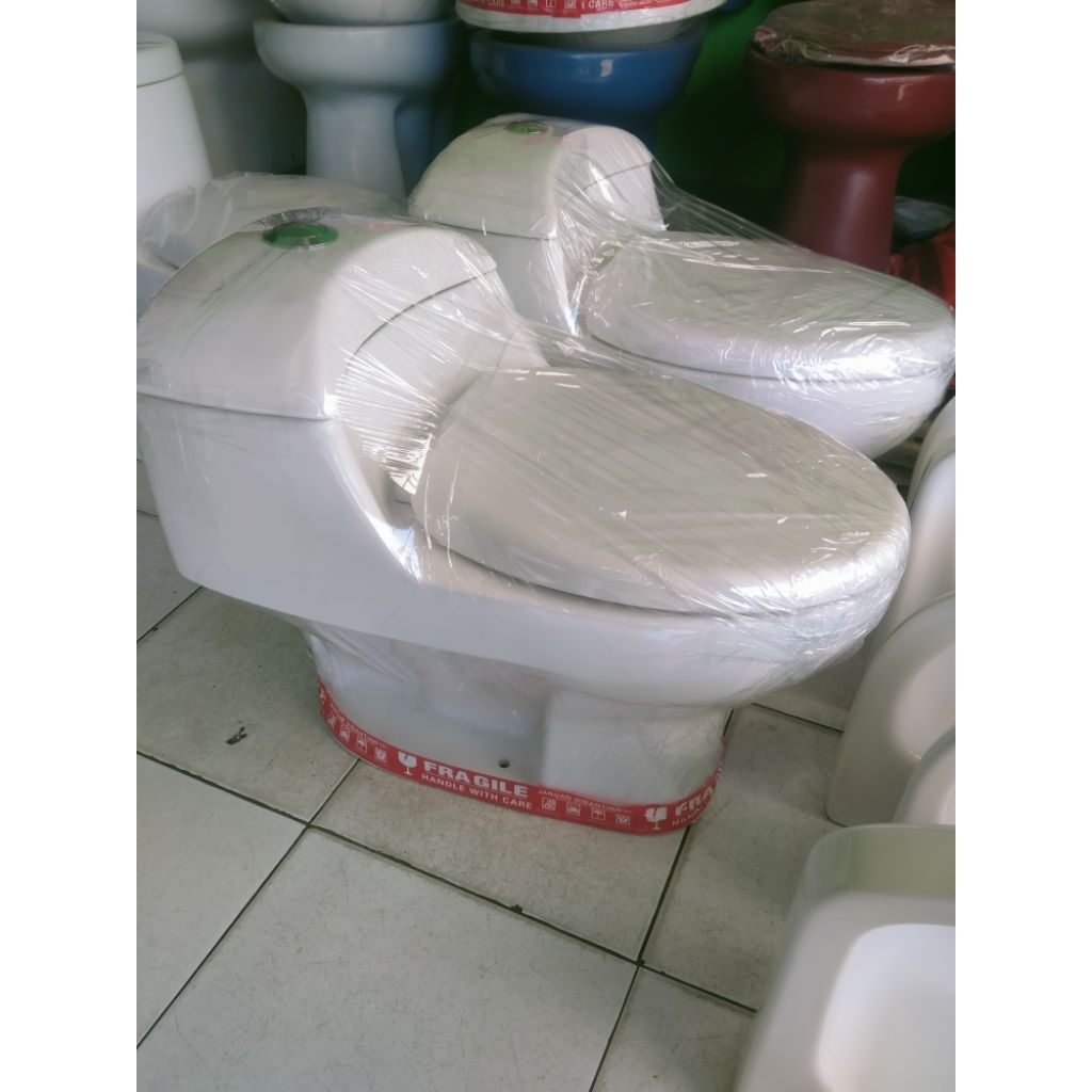 Closet Duduk Model Kodok Putih