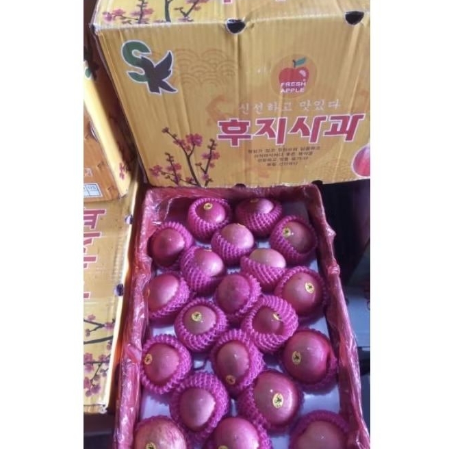 

Apel Fuji SK size 100 1 Dus 18 kg Per Box Fresh Jogja
