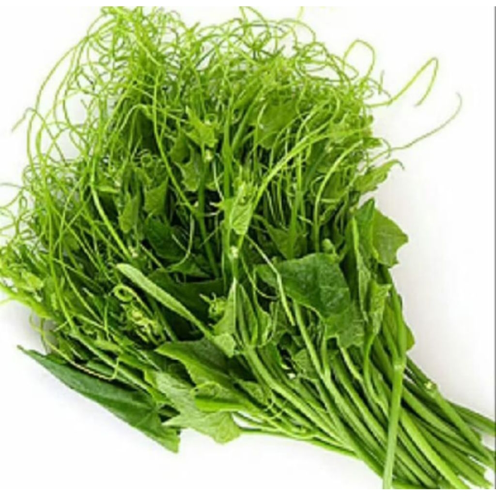 

pucuk labu segar satu iket 500gr