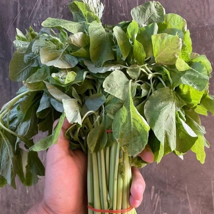 

KIRIM INSTAN bayam per ikat