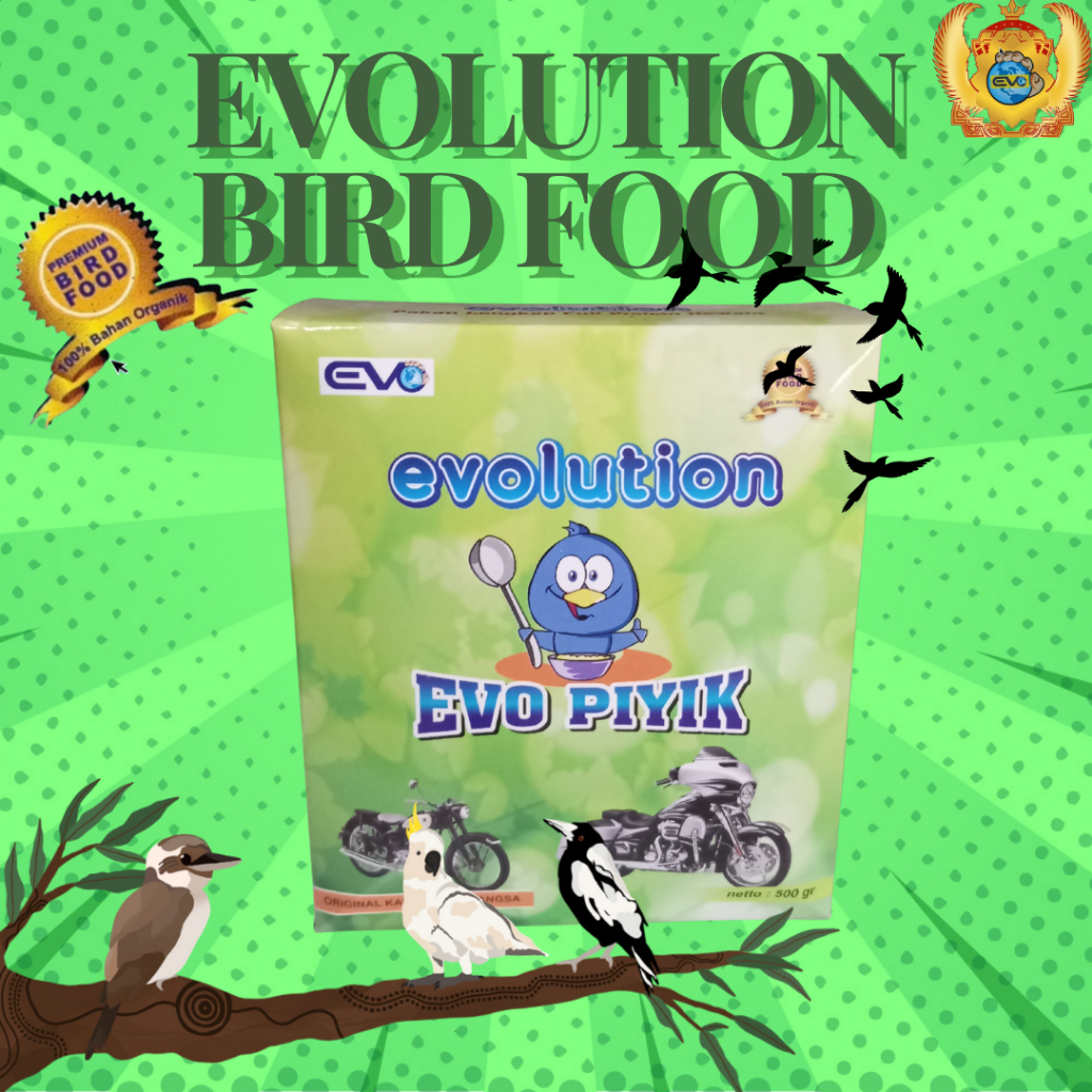 EVOLUTION | PIYIK | ANAK MURAI BATU
